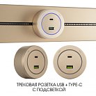 Трековая розетка, 3.1A 250V Arte Milano 399731TS/USB-Type-C Gold Am