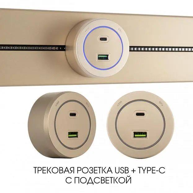 Трековая розетка, 3.1A 250V Arte Milano 399731TS/USB-Type-C Gold Am