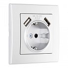 Комплект розетки с заземлением и шторками + 2 USB и рамкой однопостовой серебро пластик Arte Milano SET06-1-47-1 silver