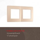 Рамка из поликарбоната на 2 поста Arte Milano 517.17-2.shampan am