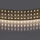 Лента белого свечения 24V Lightstar 423004