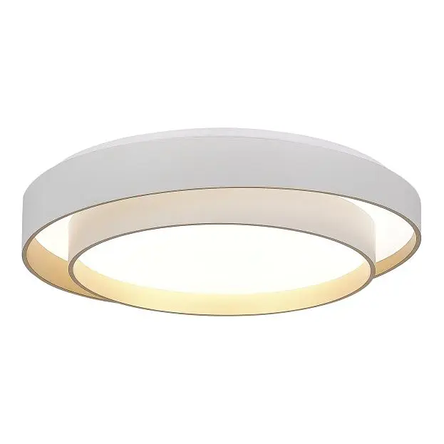 Светильник потолочный Evoluce SLE6009-502-01 CROSBY