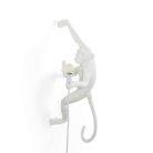 Настенный светильник Seletti 14925 Monkey Lamp Outdoor Hanging Right