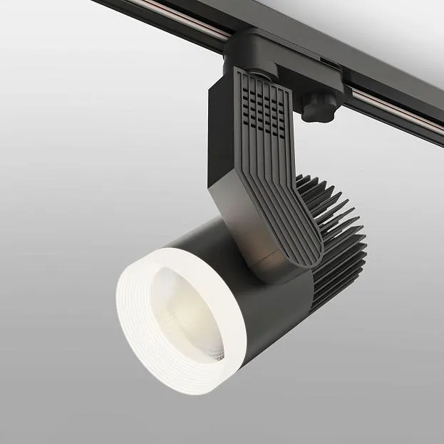 Трековый светильник для однофазного шинопровода Elektrostandard LTB36 a043917 Accord