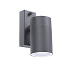 Настенно-потолочный светильнк Arte Lamp A3302AL-1GY Sonaglio MISTERO