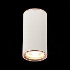 Потолочный светильник ST Luce ST111.527.01