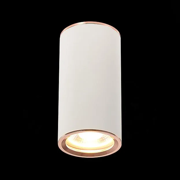 Потолочный светильник ST Luce ST111.527.01