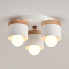 Подвесная Люстра Bergsten D38 140564-26 ImperiumLoft