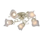 Потолочная люстра Vitaluce V1646/5PL