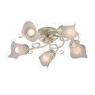 Потолочная люстра Vitaluce V1646/5PL