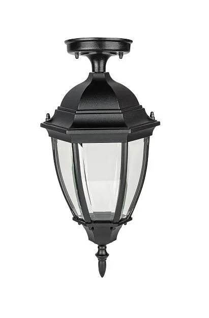 Потолочный светильник уличный Oasis Light 91205SA Bl ARSENAL S