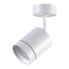 Спот Novotech 358259 Arum