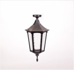 Потолочный светильник уличный Oasis Light 79705LA Bl ALBORG L