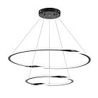 Подвесная люстра Arte Lamp A2211SP-2BK VERITATE
