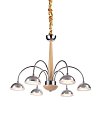 Подвесная люстра Lucia Tucci Natura 065.6 LED