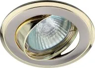 Точечный светильник ЭРА KL22 А SN/G