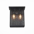 Уличный настенный светильник ST Luce SL079.401.02 Glazgo
