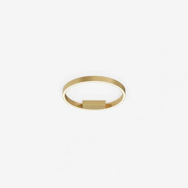 Потолочный светильник Maytoni MOD058CL-L25BSK Rim