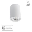 Светильник Потолочный Arte Lamp A1560PL-1WH SENTRY