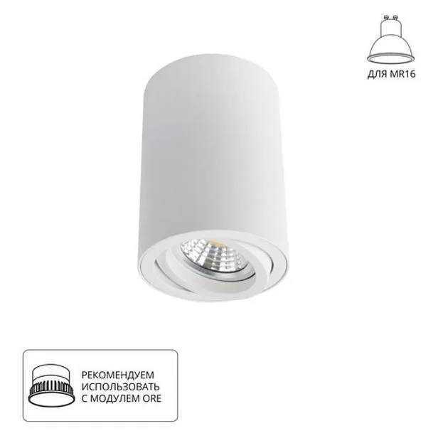 Светильник Потолочный Arte Lamp A1560PL-1WH SENTRY