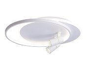 Настенно-потолочный светодиодный светильник с пультом Ambrella light FL51391 LineTech