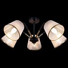 Потолочная люстра ILLUMICO IL0344-5CSQ-79 BK AB
