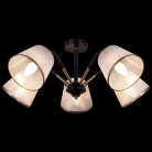 Потолочная люстра ILLUMICO IL0344-5CSQ-79 BK AB