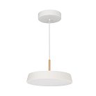 Подвесной светильник Arlight 033919 Elegant
