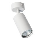 Светильник Потолочный Arte Lamp A3216PL-1GY AQUARIUS