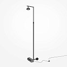 Напольный светильник (торшер) Maytoni MOD372FL-L10B3K Pikant