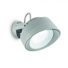 Уличный настенно-потолочный светильник с поворотным плафоном Ideal Lux 145327 LITIO