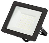 Прожектор уличный ЭРА LPR-042-3-65K-050