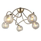 Люстра потолочная Omnilux OML-57007-05 Brunate