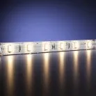 Светодиодная лента Led Strip Maytoni 201027