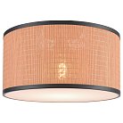 Потолочный светильник Velante 568-707-01