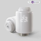 Умный терморегулятор отопления Elektrostandard 76265/00 a061850