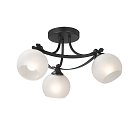 Потолочная люстра 3хЕ27 макс. 40Вт Vitaluce V2564-1/3PL