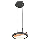 Подвесной светильник Velante 450-023-01