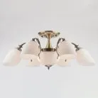 Потолочная люстра Eurosvet 22010/6+2 Ariele 00000055432