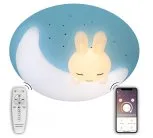 Потолочный светильник NATALI KOVALTSEVA LED LAMPS 81087