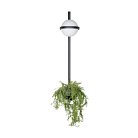 Настенный светильник Loft IT 10121W/B Jardin