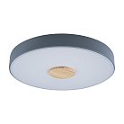 Потолочный светильник Loft It 10003/24 Grey Axel