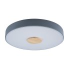 Потолочный светильник Loft It 10003/24 Grey Axel