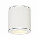 Уличный светильник SLV 231541 Sitra Ceiling