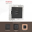 Розетка USB 2.1А+1А Arte Milano 203.46-1.black am