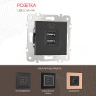 Розетка USB 2.1А+1А Arte Milano 203.46-1.black am