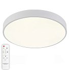 Накладной светильник Natali Kovaltseva LED LAMPS 81112/5C