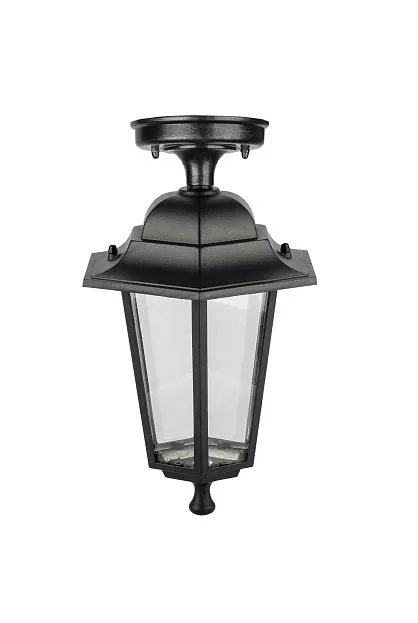 Потолочный светильник уличный Oasis Light 79805EMA Bl PETERSBURG EM